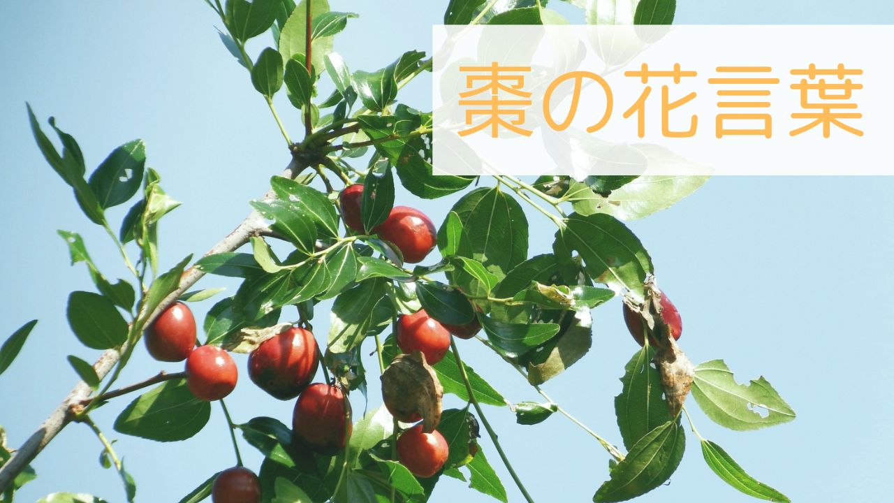 棗の花言葉のアイキャッチ